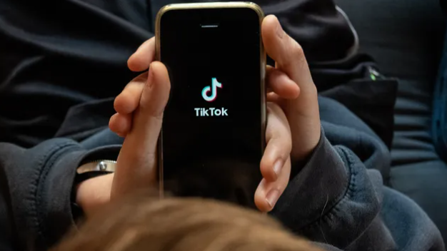 TikTok 可能会向第三方支付处理商和交易履行提供商提供您的姓名、电话号码、密码或与您的内容创建时间、地点和创建者相关的元数据。